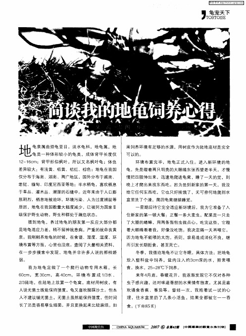 简谈我的地龟饲养心得