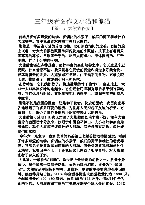三年级作文之三年级看图作文小猫和熊猫