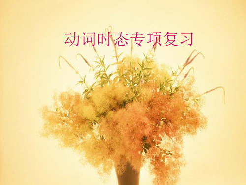 英语B级语法重点动词时态