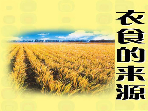 小学苏教版品德四年级上册 10《衣食的来源》课件1