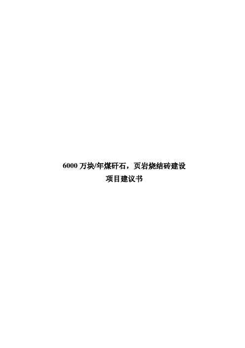 6000万块每年煤矸石烧结砖建设项目可行性研究报告
