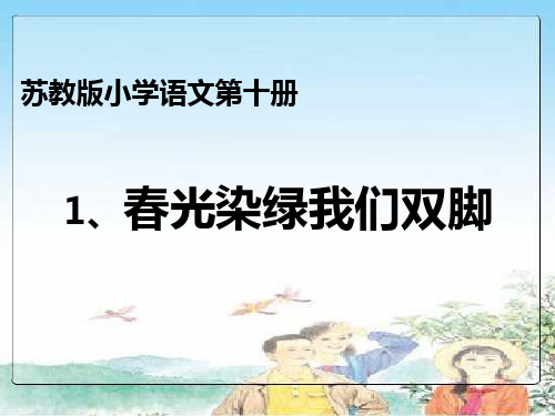 春光染绿我们双脚(新)精品课件