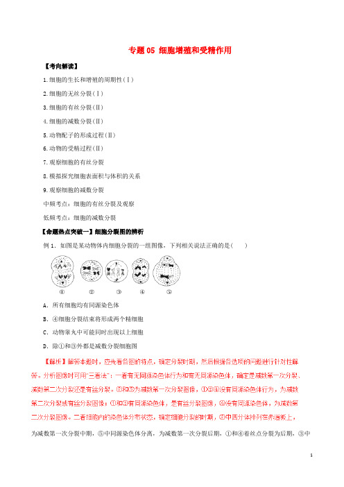 高考生物(考点解读+命题热点突破)专题05 细胞增殖和受精作用