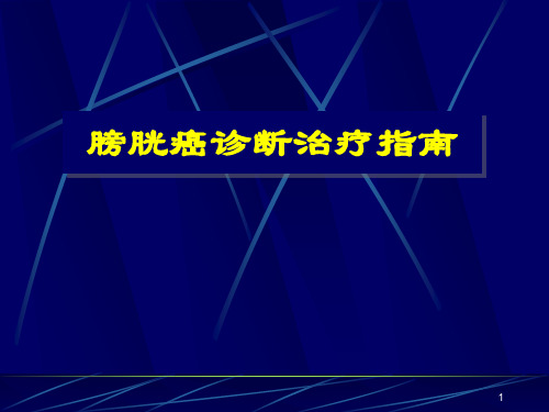 膀胱癌指南ppt课件