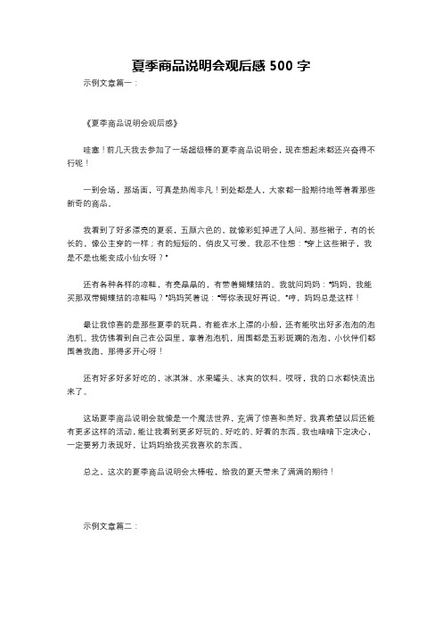 夏季商品说明会观后感500字