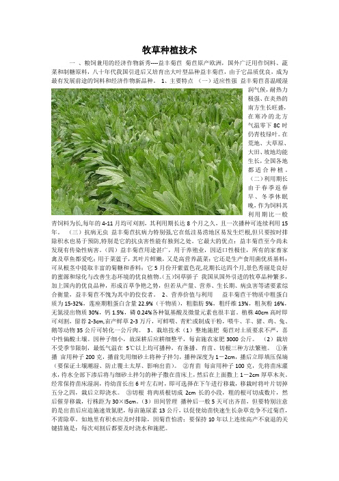 牧草种植技术