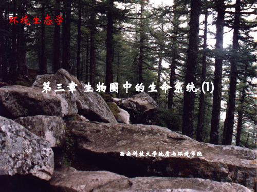 环境生态学课件(2).ppt