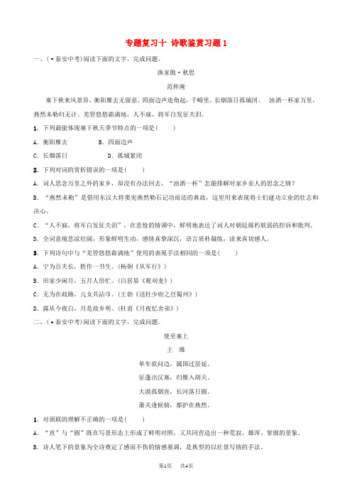 中考语文专题复习十诗歌鉴赏习题