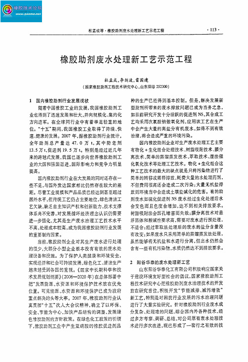 橡胶助剂废水处理新工艺示范工程