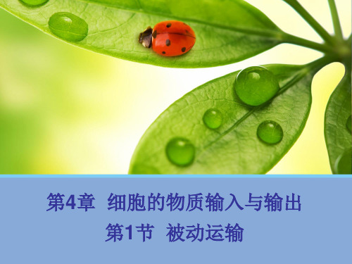 4.1-被动运输-人教版高中生物必修一