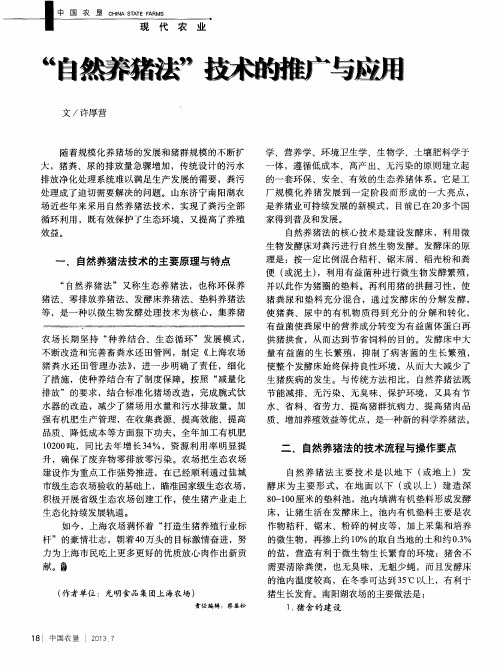 “自然养猪法”技术的推广与应用