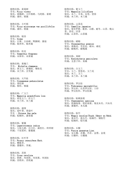 校园文化建设植物挂牌