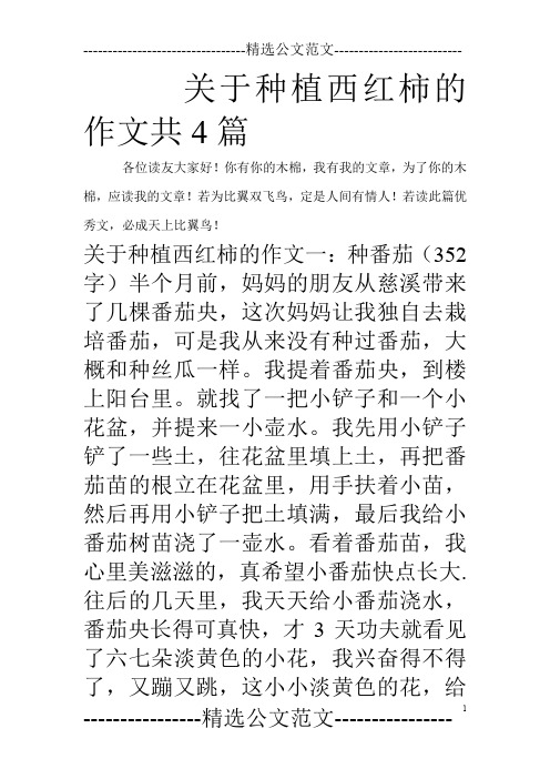关于种植西红柿的作文共4篇