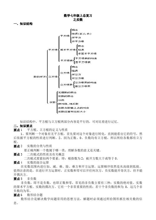 数学七年级上《实数》复习教学案