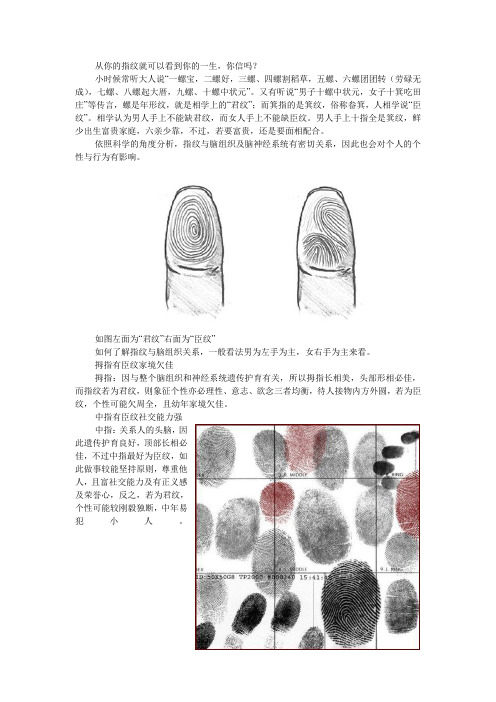 从你的指纹就可以看到你的一生