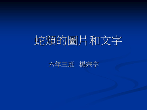 蛇类的图片和文字