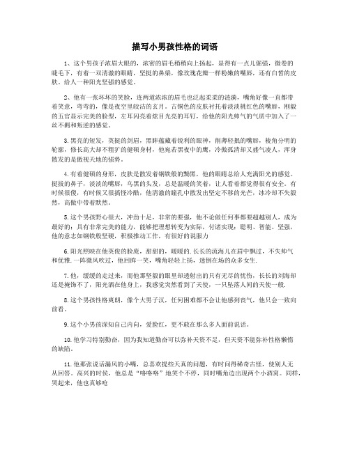 描写小男孩性格的词语
