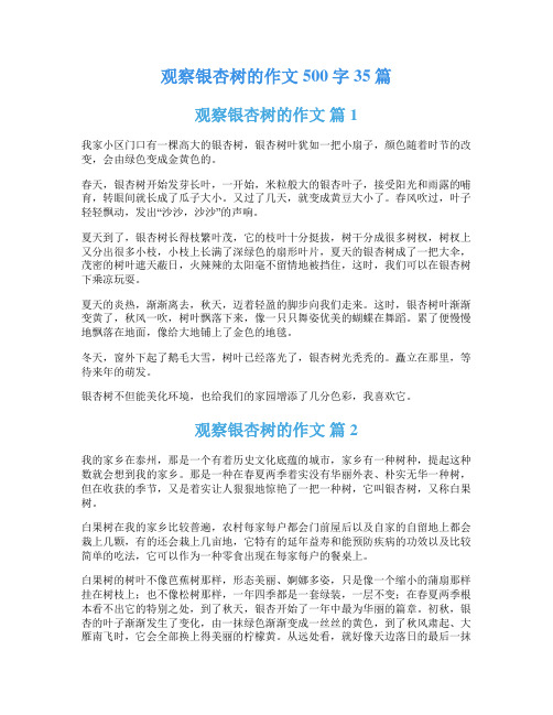 观察银杏树的作文500字35篇