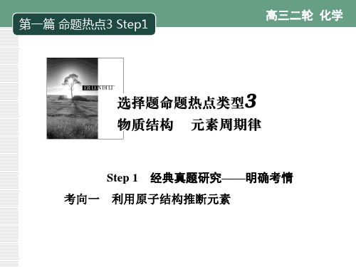 高2020届高2017级高三二轮复习资料第一方案课件第一篇 热点3  1