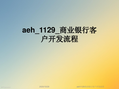 aeh1129商业银行客户开发流程