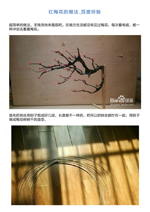 红梅花的做法_百度经验