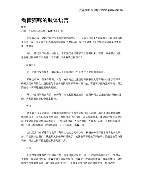 看懂猫咪的肢体语言