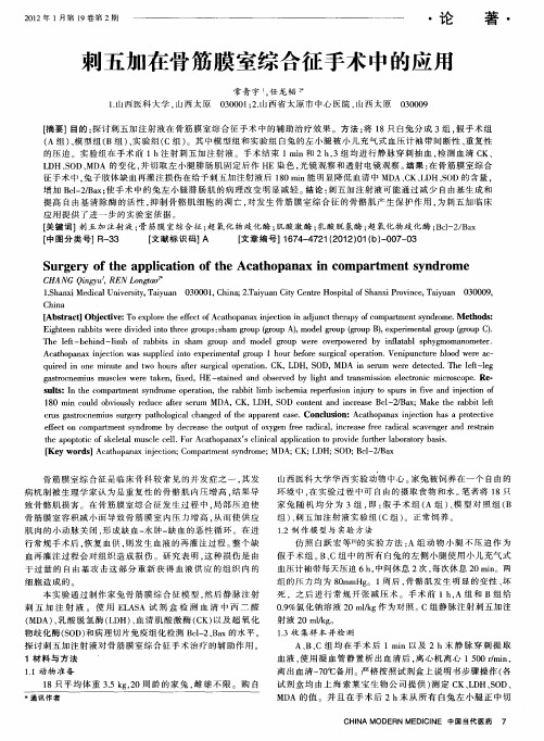 刺五加在骨筋膜室综合征手术中的应用