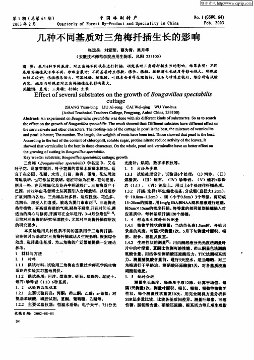 几种不同基质对三角梅扦插生长的影响