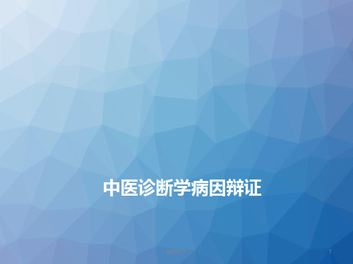 中医诊断学病因辩证  ppt课件