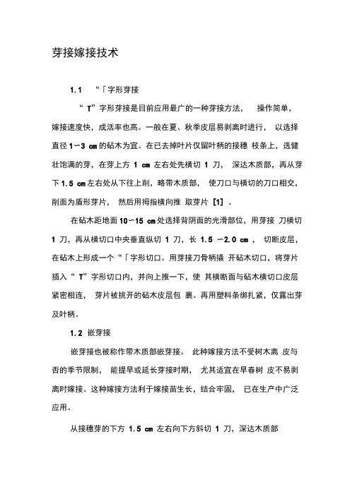 芽接嫁接技术