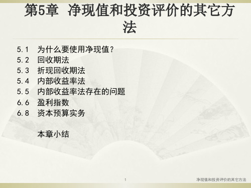 (公司理财)净现值和投资评价的其他方法课件