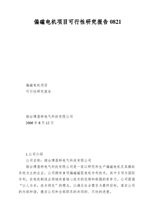 偏磁电机项目可行性研究报告0821
