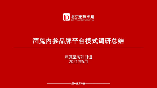 酒鬼内参商业模式研究.docx