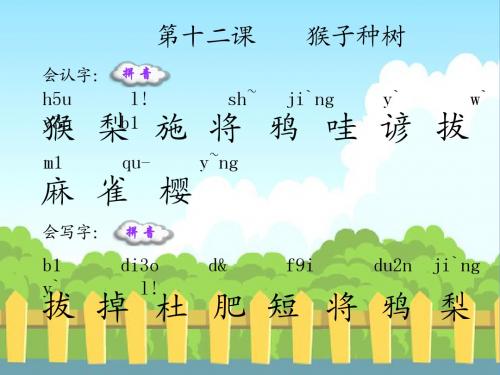 12猴子种树(生字)