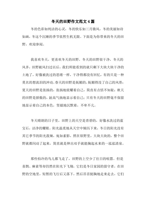 冬天的田野作文范文4篇