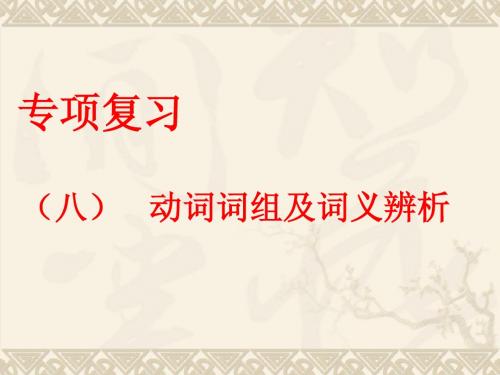 二轮复习--动词词组及词义辨析