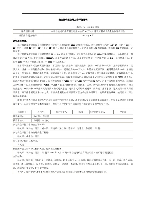 安全评价报告网上公开信息表