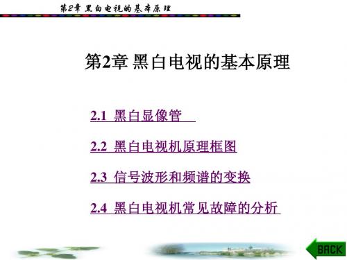 CH02黑白显像管及黑白电视接收机原理