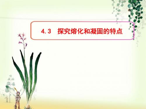 4.3  探究熔化和凝固的特点