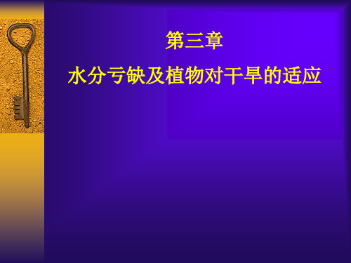 2013植物干旱概念及干旱对植物生长影响