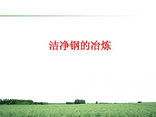 品种钢与洁净钢冶炼