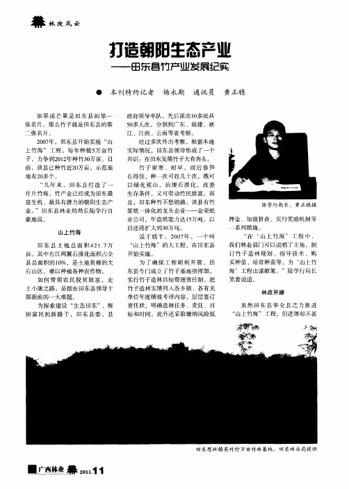 打造朝阳生态产业——田东县竹产业发展纪实