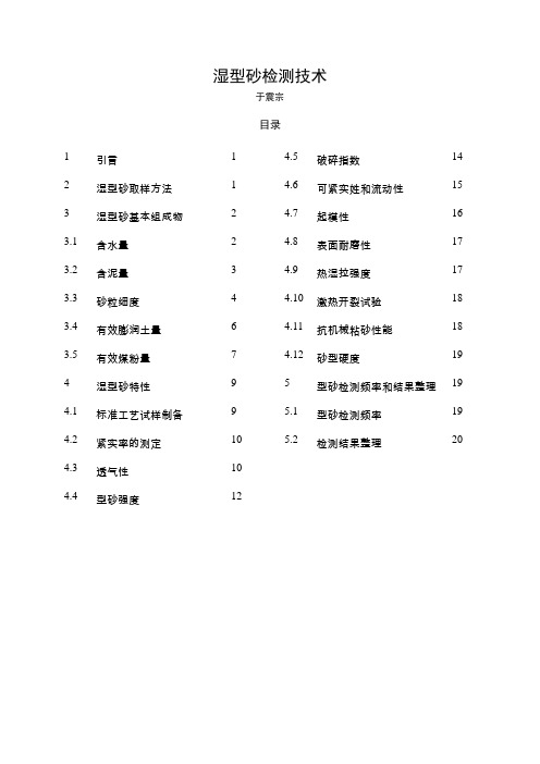 湿型砂检测技术