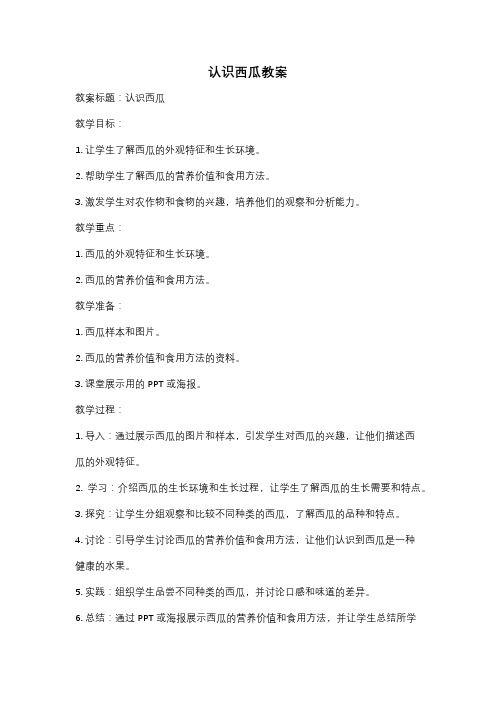 认识西瓜教案