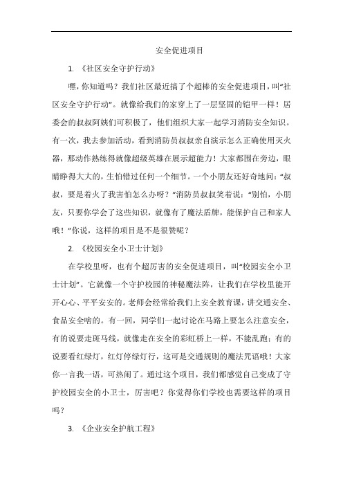 安全促进项目