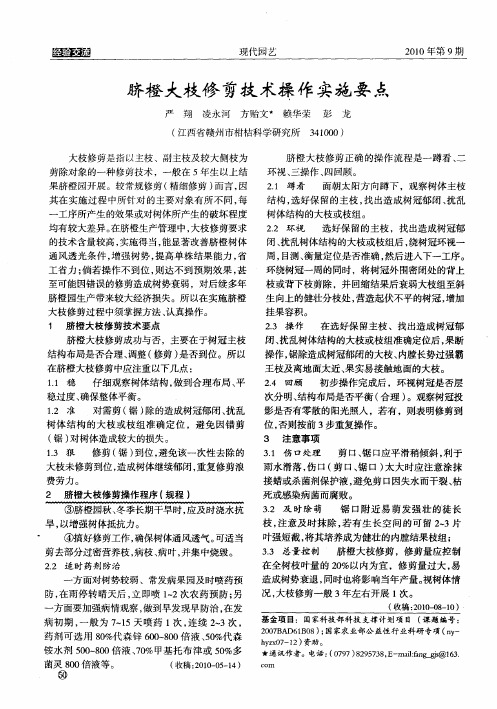 脐橙大枝修剪技术操作实施要点