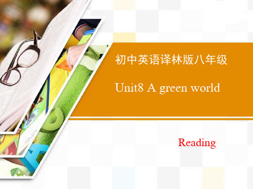 牛津译林版英语八年级下册Unit8 Reading精品课件