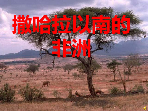 8.3.《撒哈拉以南的非洲》课件