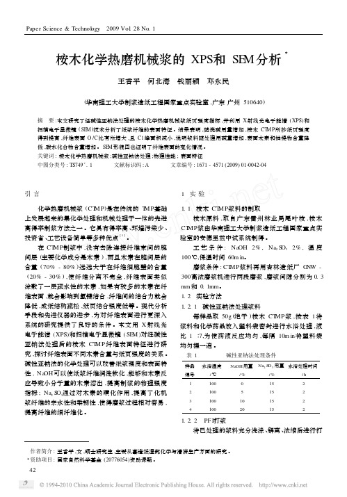 桉木化学热磨机械浆的XPS和SEM分析