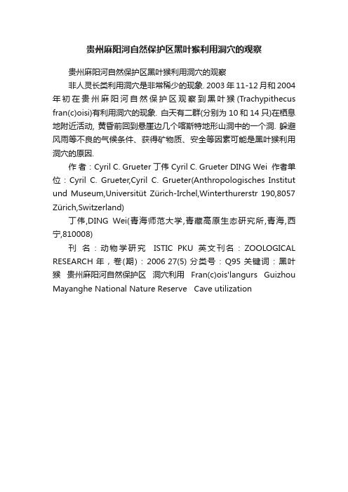 贵州麻阳河自然保护区黑叶猴利用洞穴的观察
